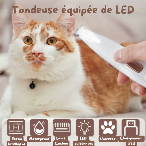 CutPaw Pro™ - Tondeuse pattes